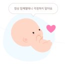 태아보험 사은품 카시트 받음! (현대해상 굿앤굿 가입 후기)