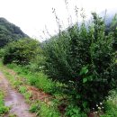 태환농장 이미지