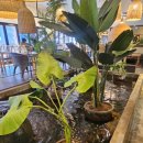 루스트플레이스베라체점 이미지