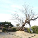 영암민박 이미지