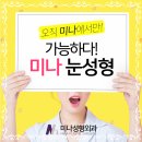 미나성형외과 네이버블로그