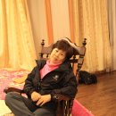 제주청년회 이미지