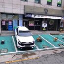 파충류샵 | 🦎 창원 상남동 파충류샵 티라노체험 후기 💚 창원 아이랑 가볼만한곳