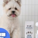 세정헬스케어 이미지