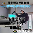 김해 중식당 해충 방역 작업 후기 - 퓨어픽스