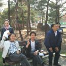 중상보공원 이미지