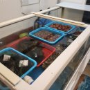 바다 칼국수 이미지