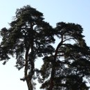 바우길 16구간 이미지