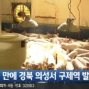 의성4농장 이미지