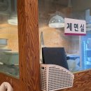 다다치킨 이미지