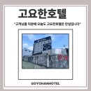 고요한하루 | 고요한호텔 후기 ｜ 광고 없이 만실인 이유는?