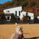 노을 물든 숲길펜션 이미지