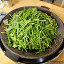 동해시-32 | [250504] 부모님이랑 강원도동해여행 후기~
