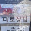 카페시라 | [광주 타로카페] “시라“ 내돈내산 사주 후기