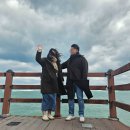 제로오클락 | 기록 (250129) / 함덕해변, 나라국밥본점, 이호테우해변, 한담해변, 카페봄날, 제로오클락펜션, 돈까스서황