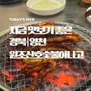 원조산호숯불아나고곰장어막창 네이버블로그
