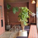 헤이 룩앳미(Hei look at me) | 선릉역 룩앳미 2030 로테이션 커피 소개팅 솔직 후기 레이어로스터리바