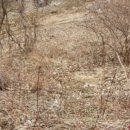 산유리보건진료소 이미지