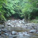 이리오시요 이미지