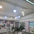 살롱드 멍 이미지