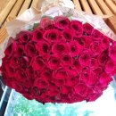 완도LOWA 이미지