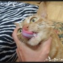 금동이PC 이미지