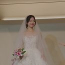 [웨딩준비] 드레스투어, 헤어 메이크업 추천 탐나도다 메이크업 후기
