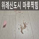 도시의빛2 | 위례신도시 마루찍힘 여러 곳 수리, 당일 부분복원 완료 후기