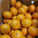 드림디포 (광산점) | 신창동 과일가게 맛집, 과일왕자 신창점 방문 후기