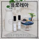 1004공방 | 강동구 향수 공방 추천 플로레아 AI 향수 만들기 후기 (27.7.10)