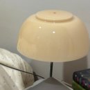 박원식오케이치과의원 | 안녕한 번쯤은 날들어봤겠지 너의사랑니이 (fear.RumSeolPumPumPum)