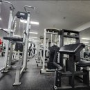 다윗헬스클럽 이미지