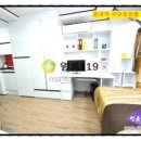 서련코아 이미지