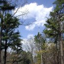 앞산어린이공원 놀이터 이미지