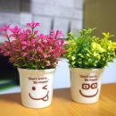 순천게스트하우스 도란도란 이미지