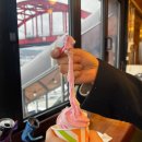 바다마을사람들 | [속초카페] 아바이 마을 젤라또 맛집 조용한 카페 추천 “바다가 보이는 카페” 내돈내산 후기