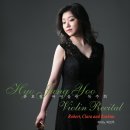 바이올린 이미지