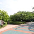 새춘천주유소 이미지