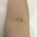 11545-03-31-32 | 임신 30주 32주 초음파 및 34주차 막달검사 시기 항목 비용