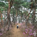 마곡천 이미지