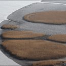 순천만의 추억 이미지