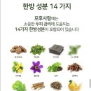 이로움케어 이미지
