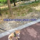 호매실천 이미지