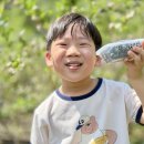 만우농장 Daum카페