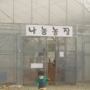 새봄유치원 | 파주나눔농장, 서울근교 실내놀이터~ 파주출판단지와 당일코스!