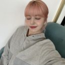 릴리핑크