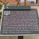 춘천 금병산 등산코스 김유정역-금병산-김유정문학촌 이미지