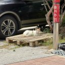 고척시립도서관 | 2025, 5月