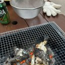 천마수산 | 전남 고흥 더쉼글램핑 :: 가족과 함께 다녀온 감성 글램핑 후기