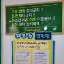 자메이카 코인 노래연습장 이미지